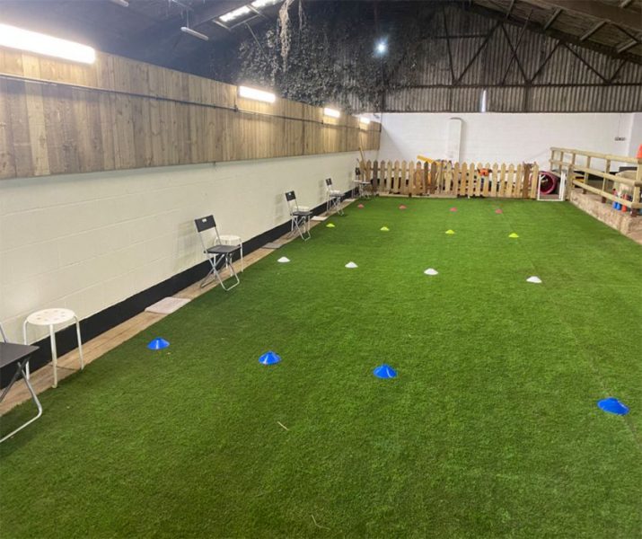 Training Venue Great Paws