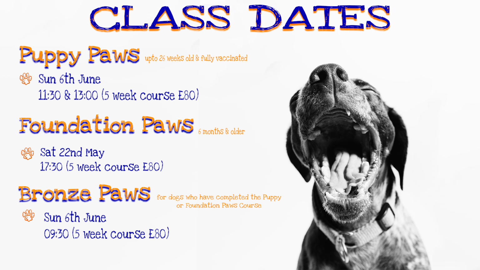 Great Paws Dog Training in Darlington and surrounding areas