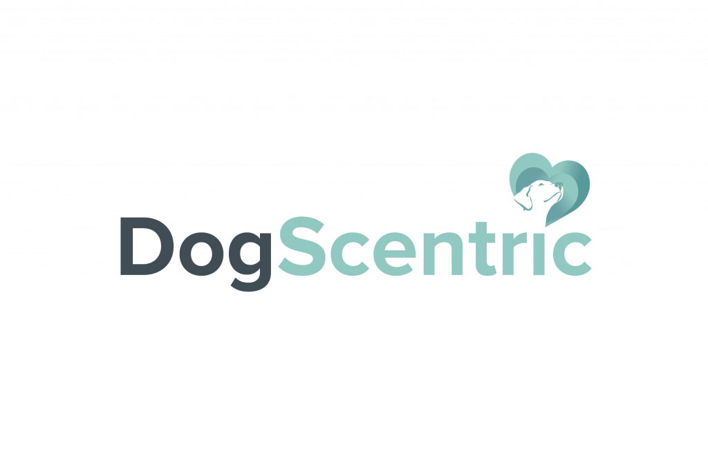 Great Paws Dog Training Puppy Training scent training Doggy Day Care Dog Day Care in Darlington Middlesbrough Stockton Yarm Wynyard Hartlepool Sedgefield Durham