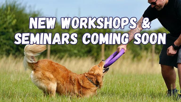 Great Paws Dog Training Puppy Training scent training Darlington Middlesbrough Stockton Yarm Wynyard Hartlepool Sedgefield Durham Great Paws Click Reactive Dog Training Online Dog Training 1 to 1 training