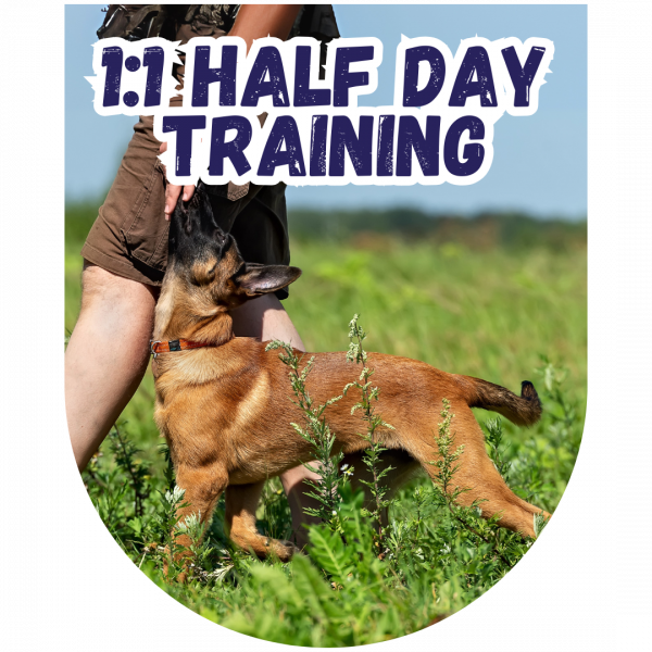 Great Paws Dog Training Puppy Training scent training Darlington Middlesbrough Stockton Yarm Wynyard Hartlepool Sedgefield Durham Great Paws Click Reactive Dog Training Online Dog Training 1 to 1 training