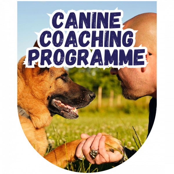 Great Paws Dog Training Puppy Training scent training Darlington Middlesbrough Stockton Yarm Wynyard Hartlepool Sedgefield Durham Great Paws Click Reactive Dog Training Online Dog Training 1 to 1 training