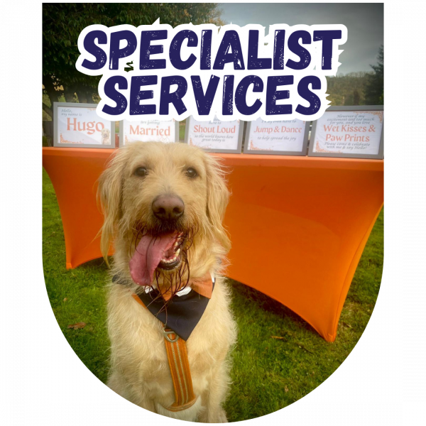 Great Paws Reactive Dog Chaperone Specialist Services Dog Training Puppy Training scent training Darlington Middlesbrough Stockton Yarm Wynyard Hartlepool Sedgefield Durham Great Paws Click Reactive Dog Training Online Dog Training 1 to 1 training