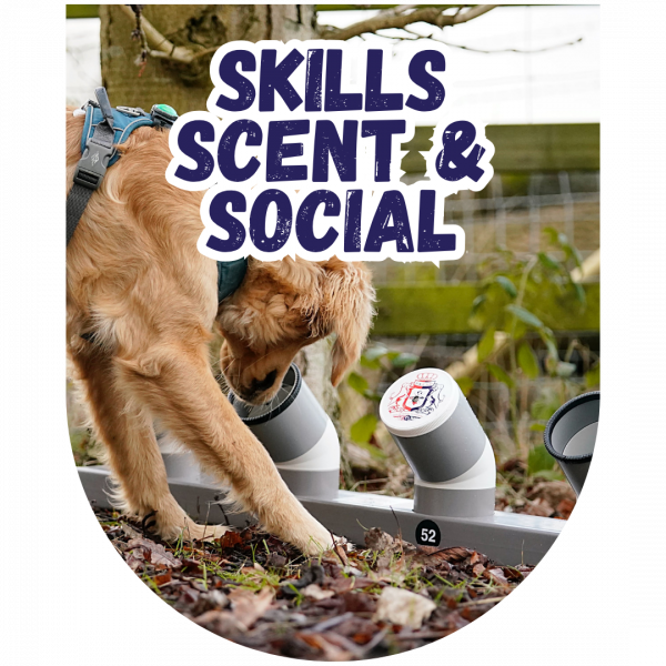 skills scent and social